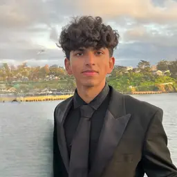 Vivek Nalluri