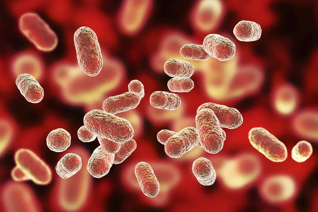 Exploring the Role of Periodontal Disease in the Pathogenesis of Atherosclerotic Cardiovascular Disease