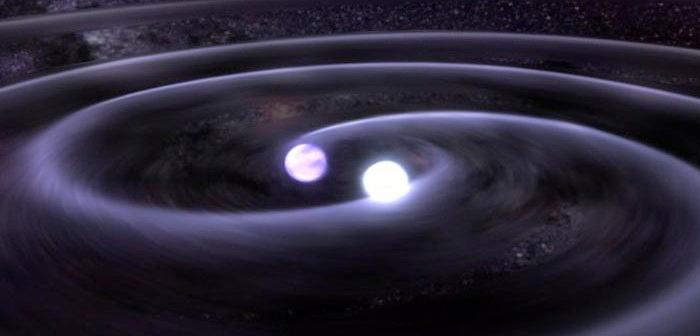 Portfolio item's cover image