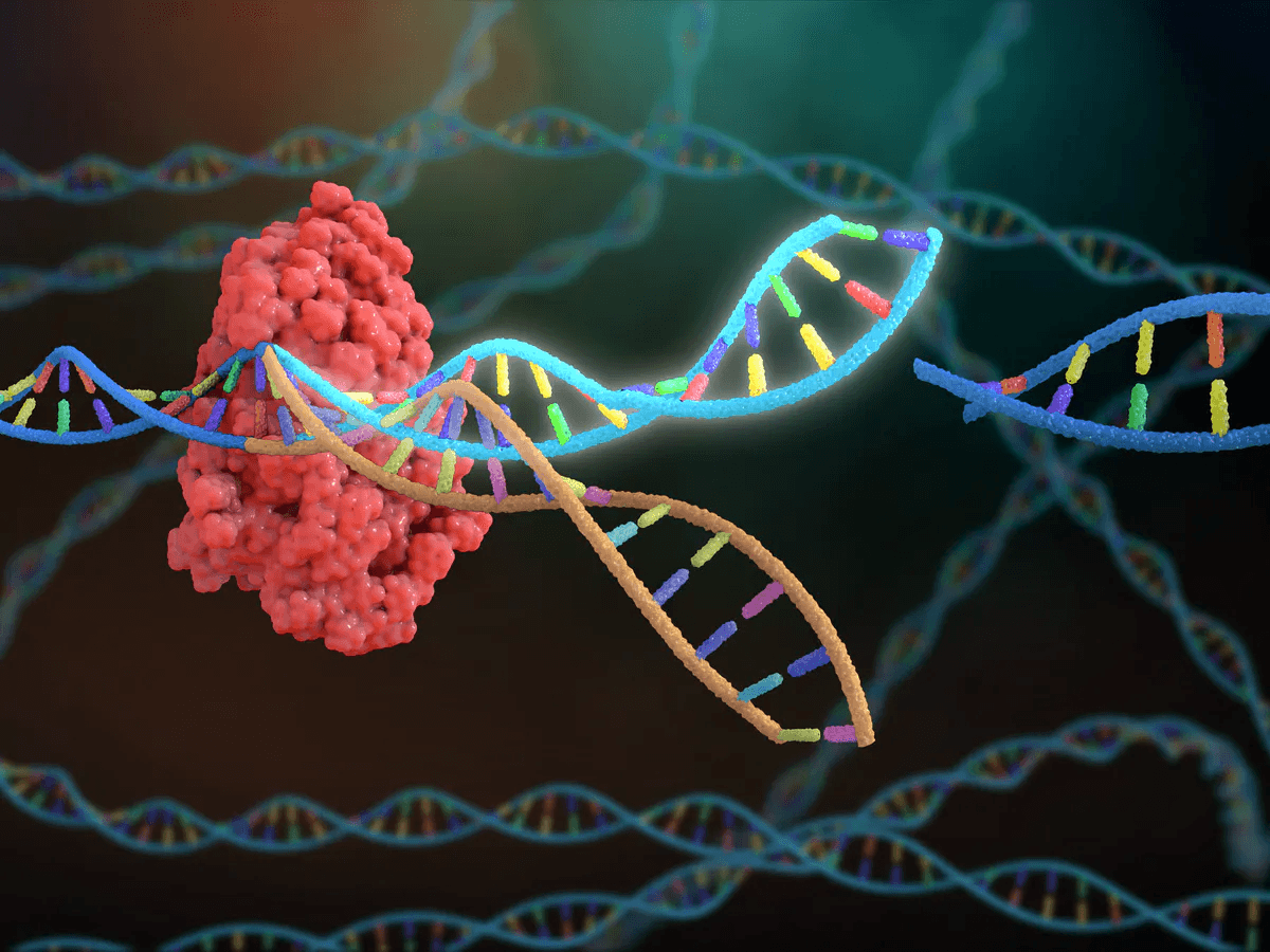 The Applications of the CRISPR/Cas9 Gene-Editing System in Treating Human Diseases