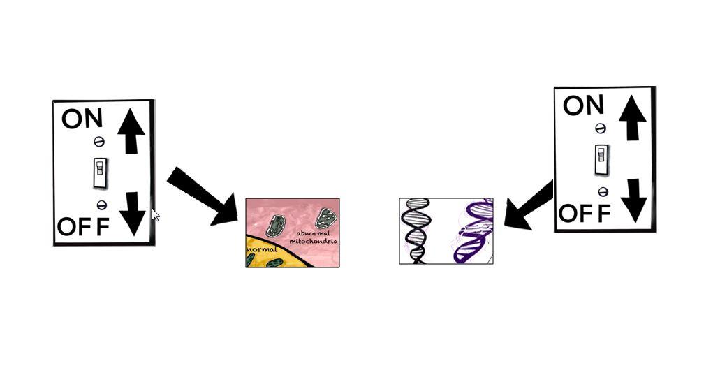 Portfolio item's cover image